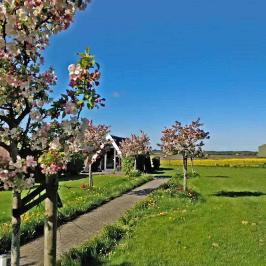 Hotelhuisje Warmenhuizen #D Exterior foto